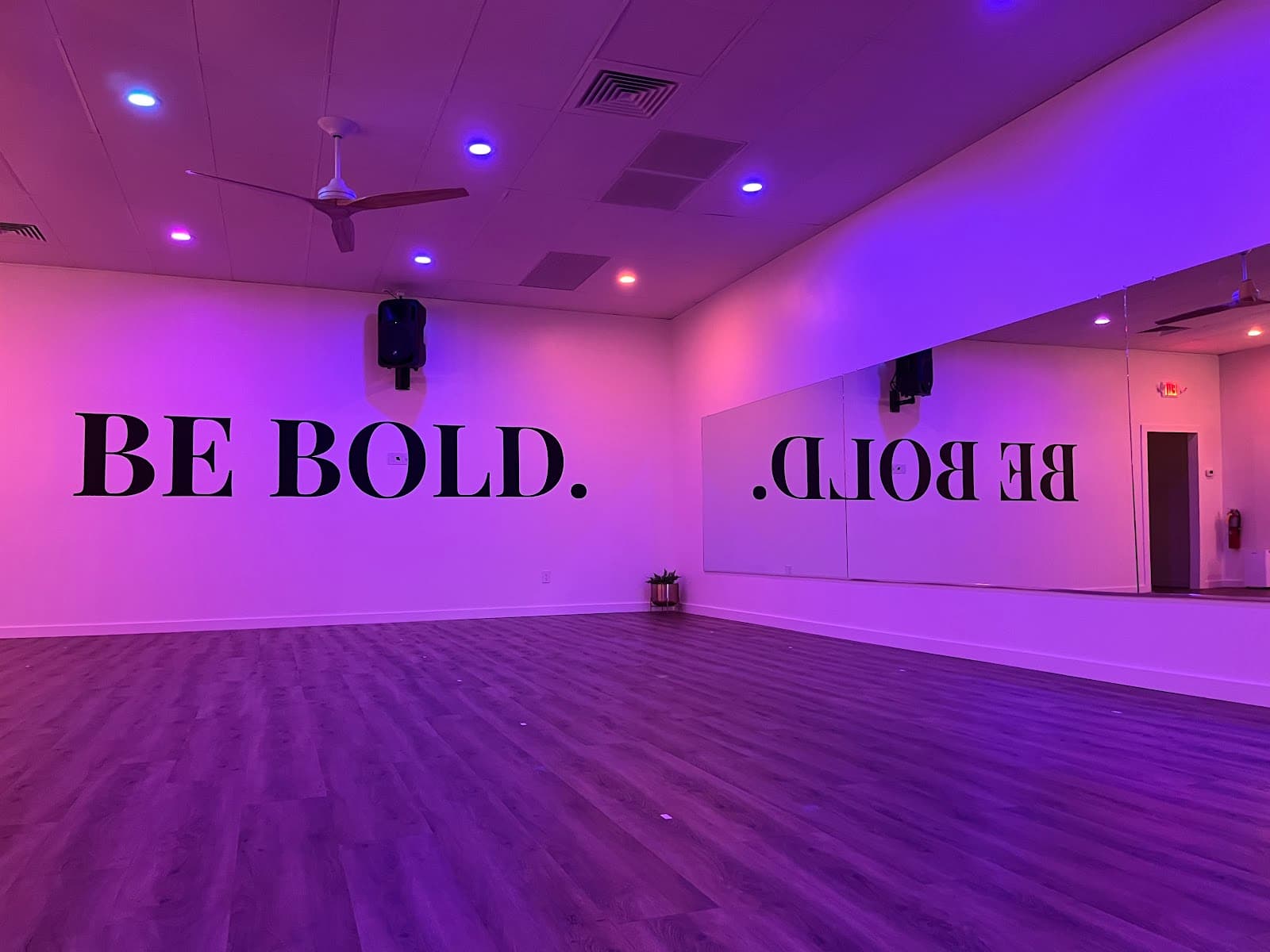 Freedom Studio