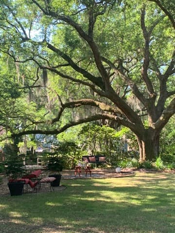 Holly Hamilton - Daniel Ravenel Sotheby's International Realty — photo 1