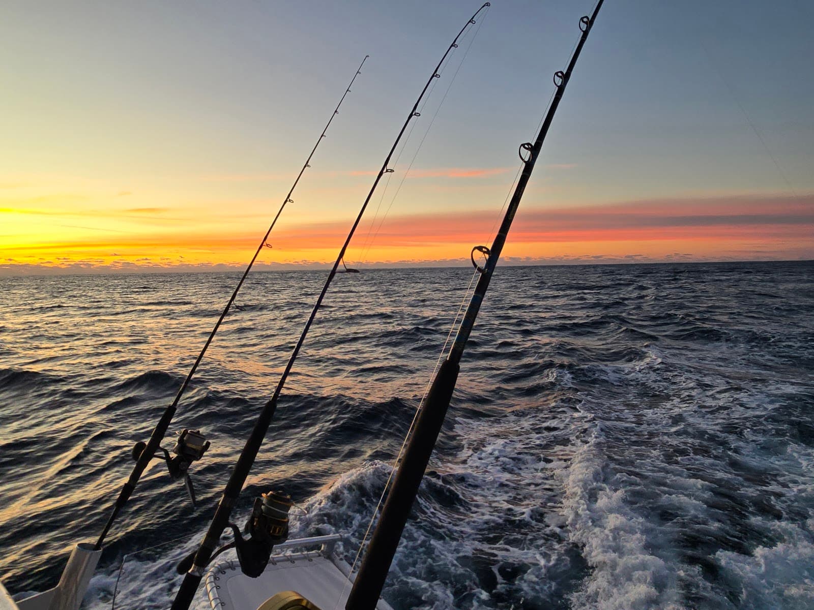 Blackjack Fishing Charters — photo 2