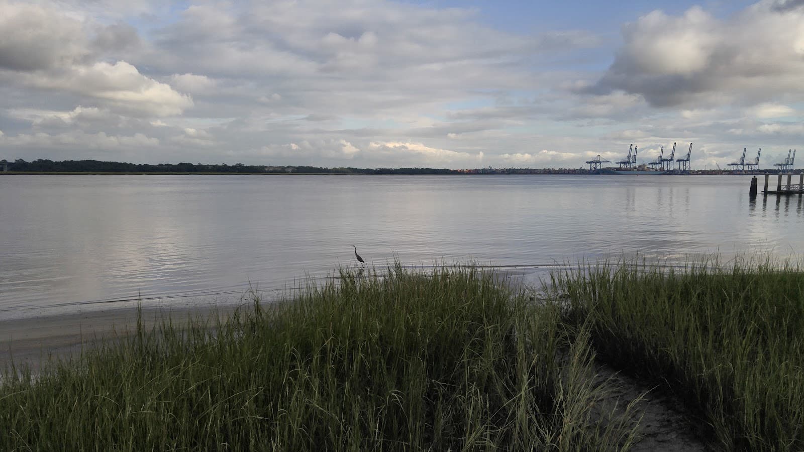 Daniel Island Real Estate — photo 2