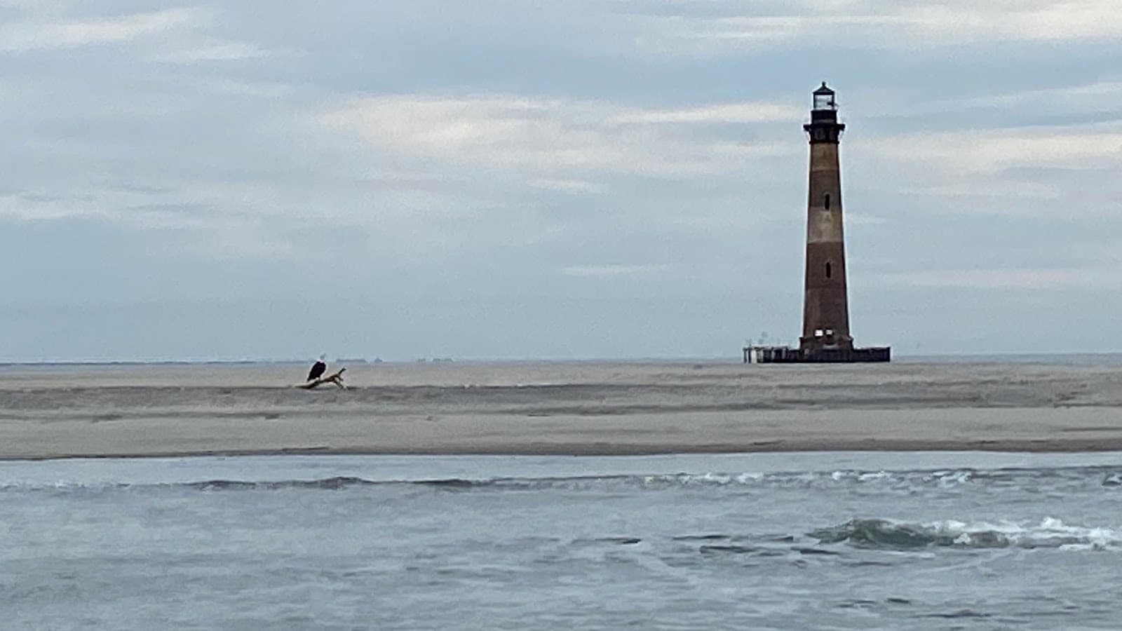 Folly Beach Fishing Charters — photo 2
