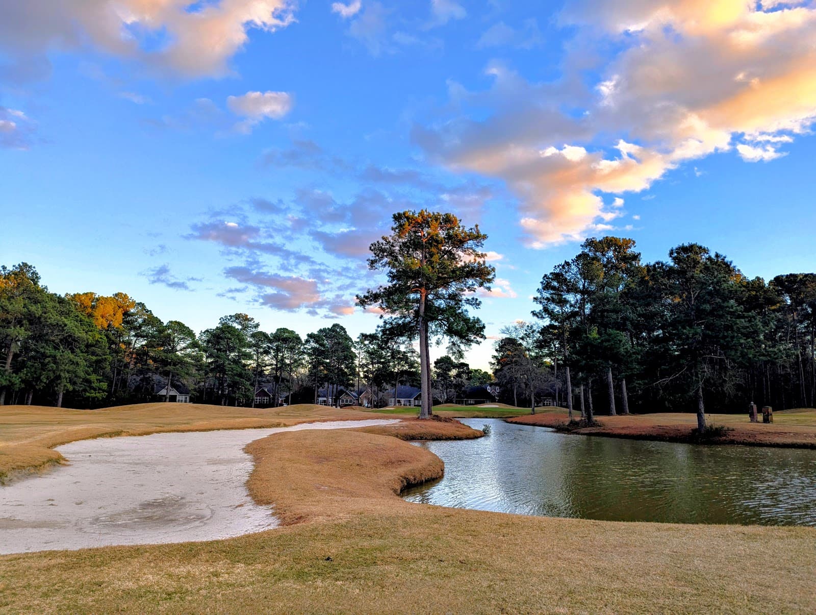 The Club at Pine Forest