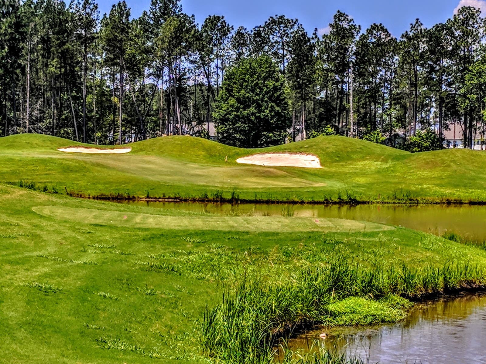The Club at Pine Forest — photo 1
