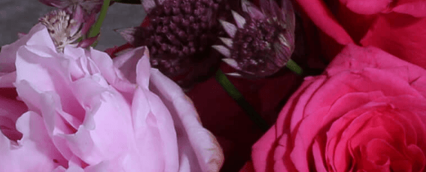 Creative Florals of Charleston