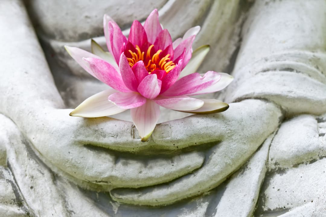 Yoga Daily — photo 2