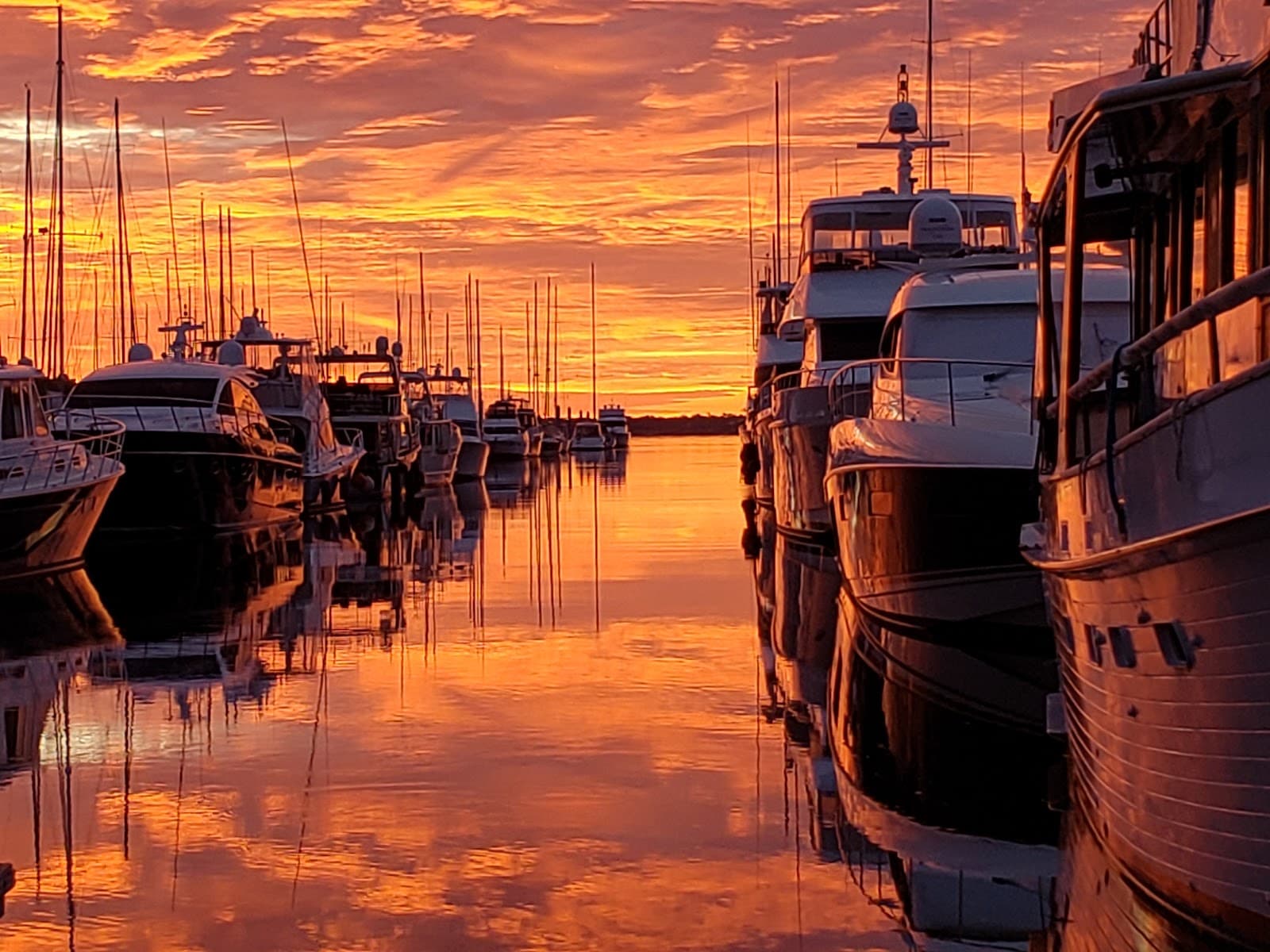 Safe Harbor Charleston City