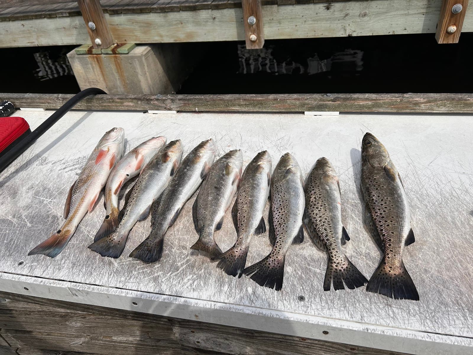 Flatsbroke Fishing Charters — photo 1