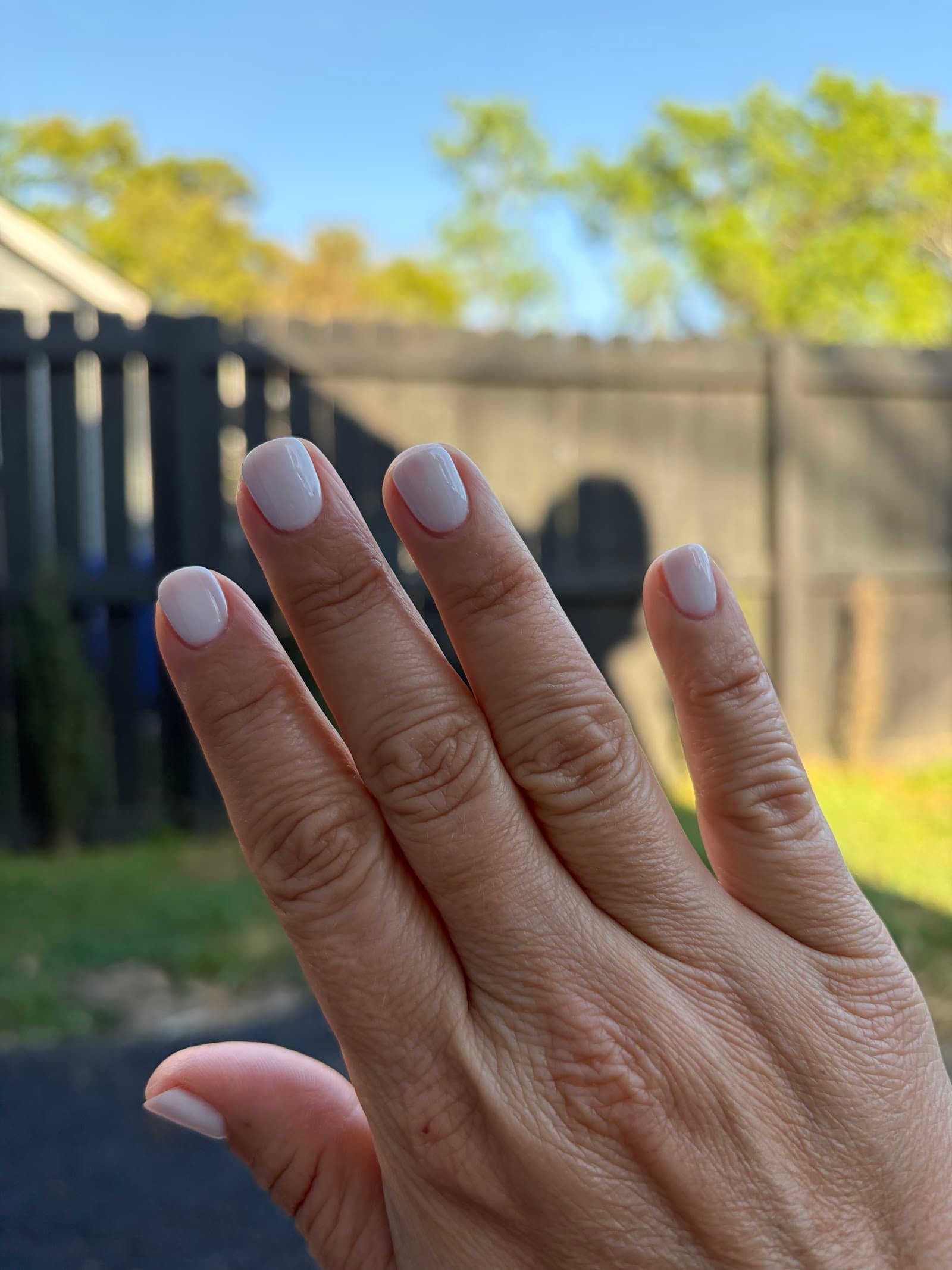 Harmony Nails & Spa — photo 1