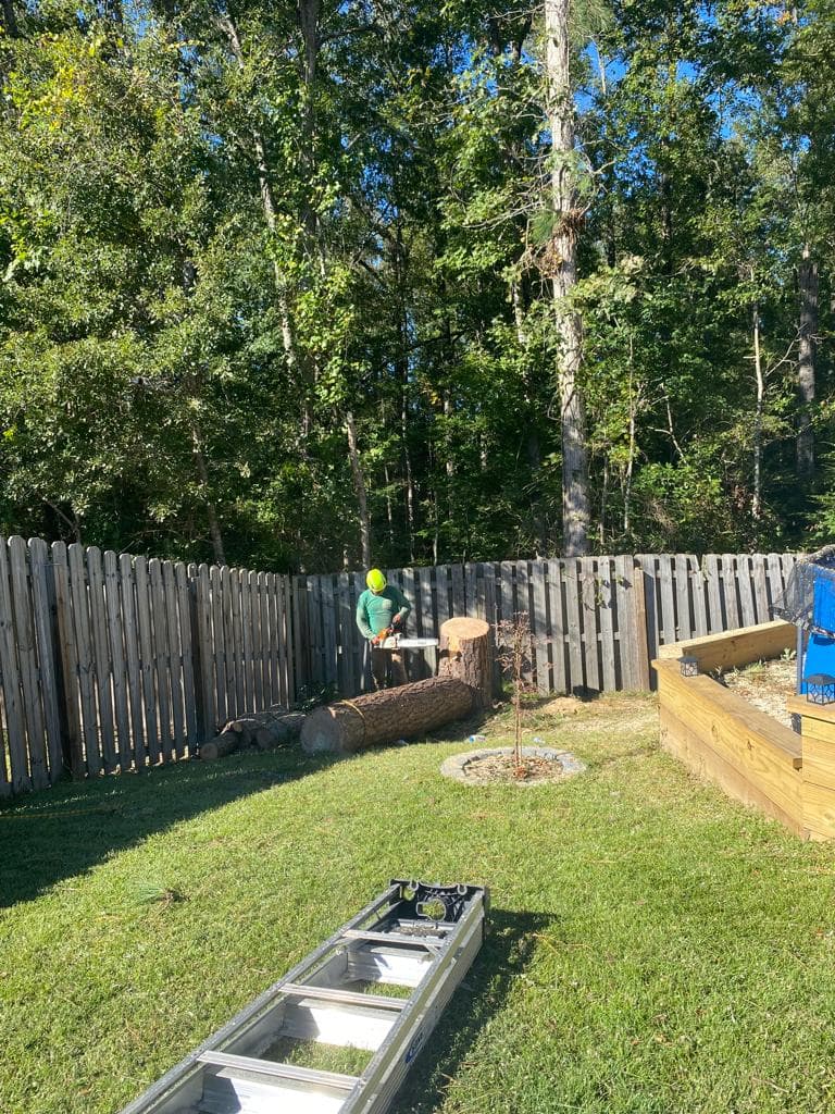 Johns Island