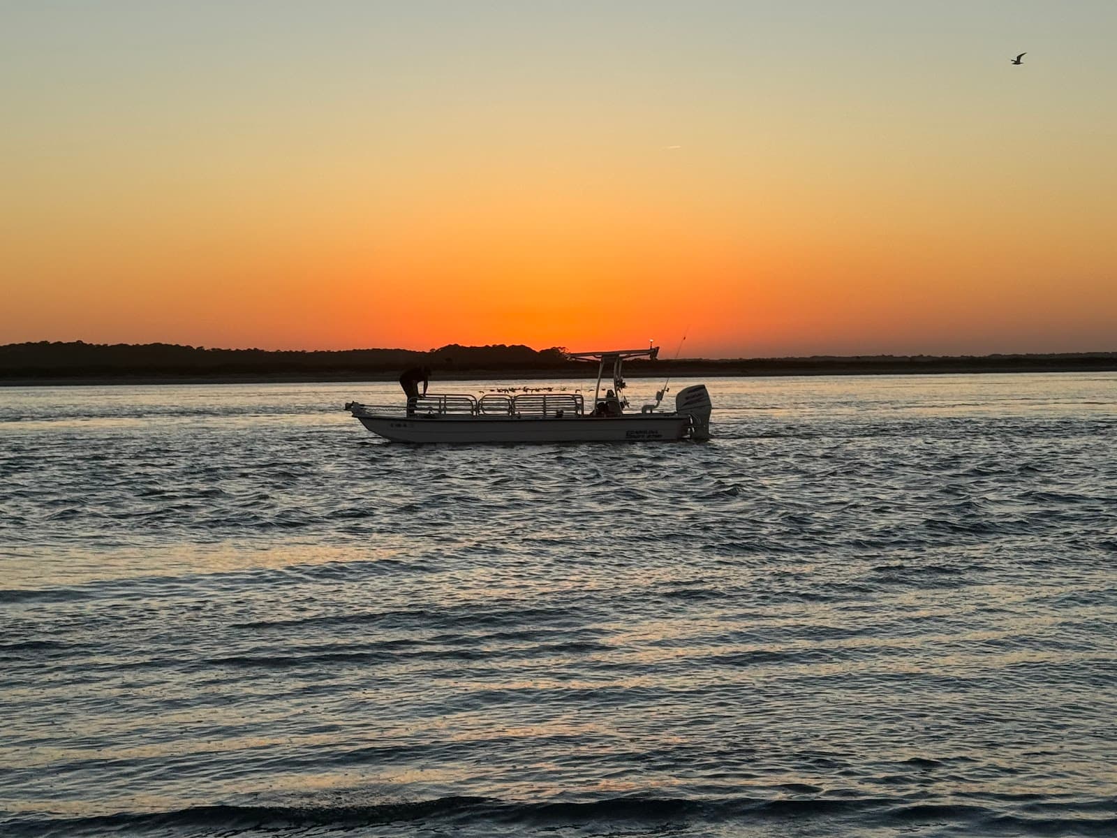 Charleston Charters (Private Dolphin Cruise BYOB) — photo 1
