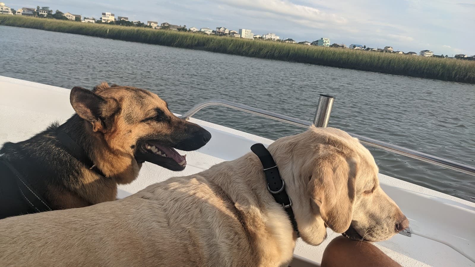 Charleston Charters (Private Dolphin Cruise BYOB) — photo 2
