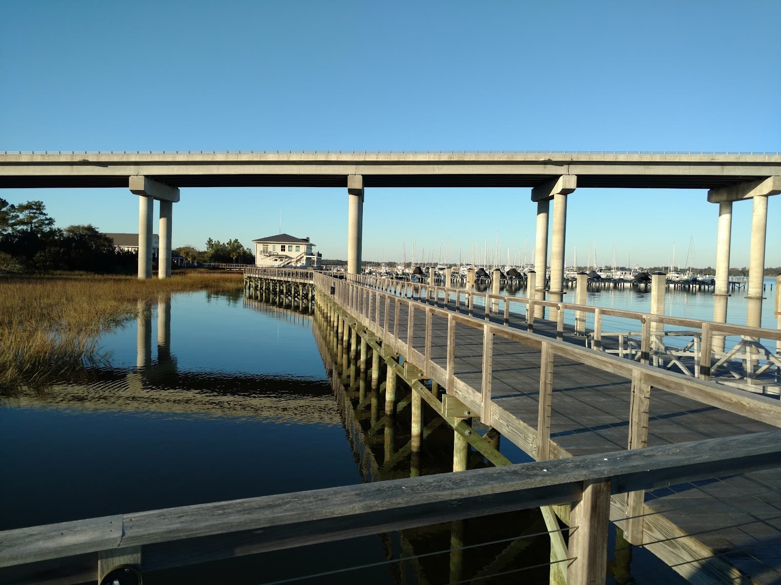 St. Johns Yacht Harbor