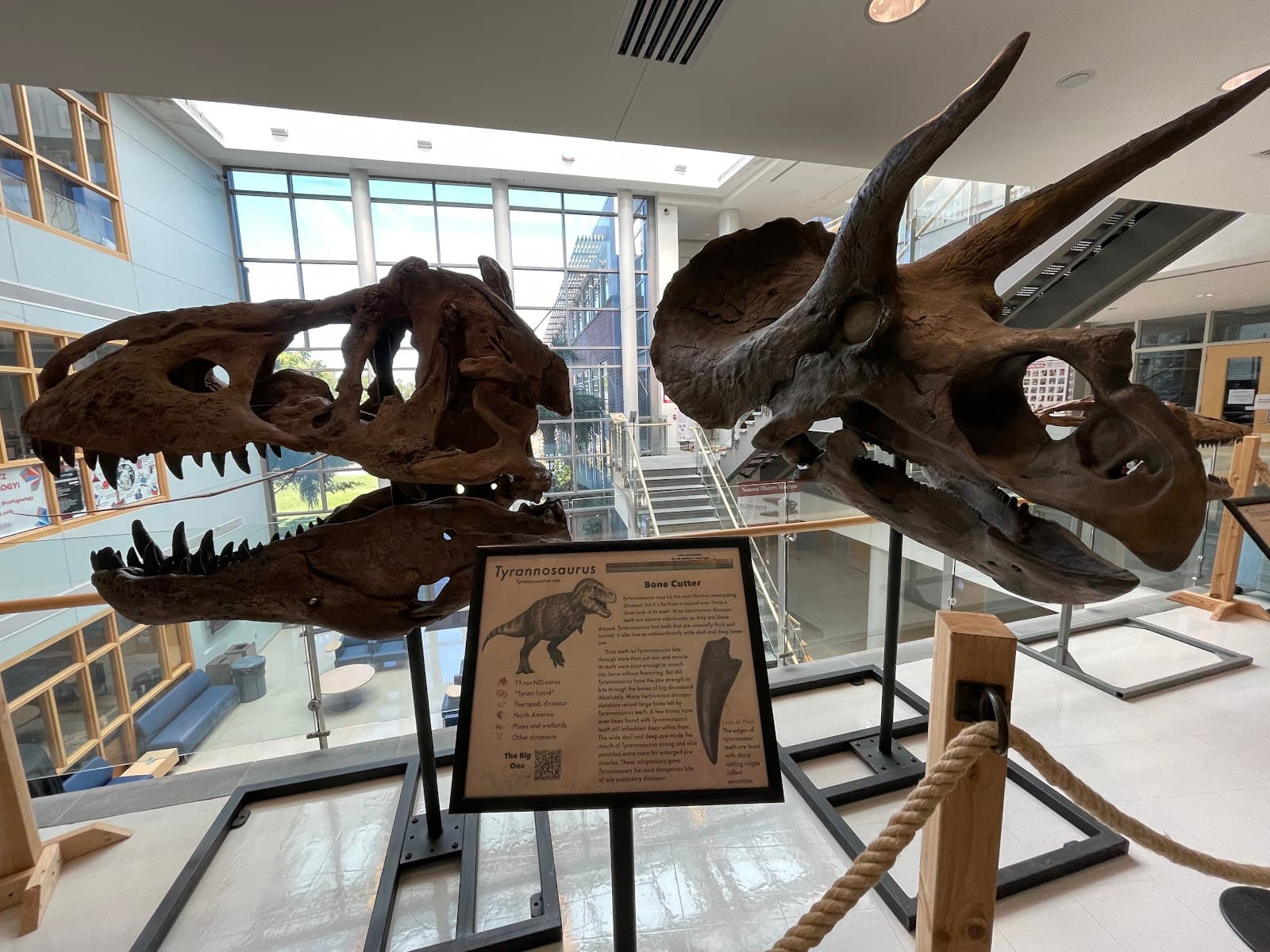 Mace Brown Museum of Natural History - College of Charleston — photo 2