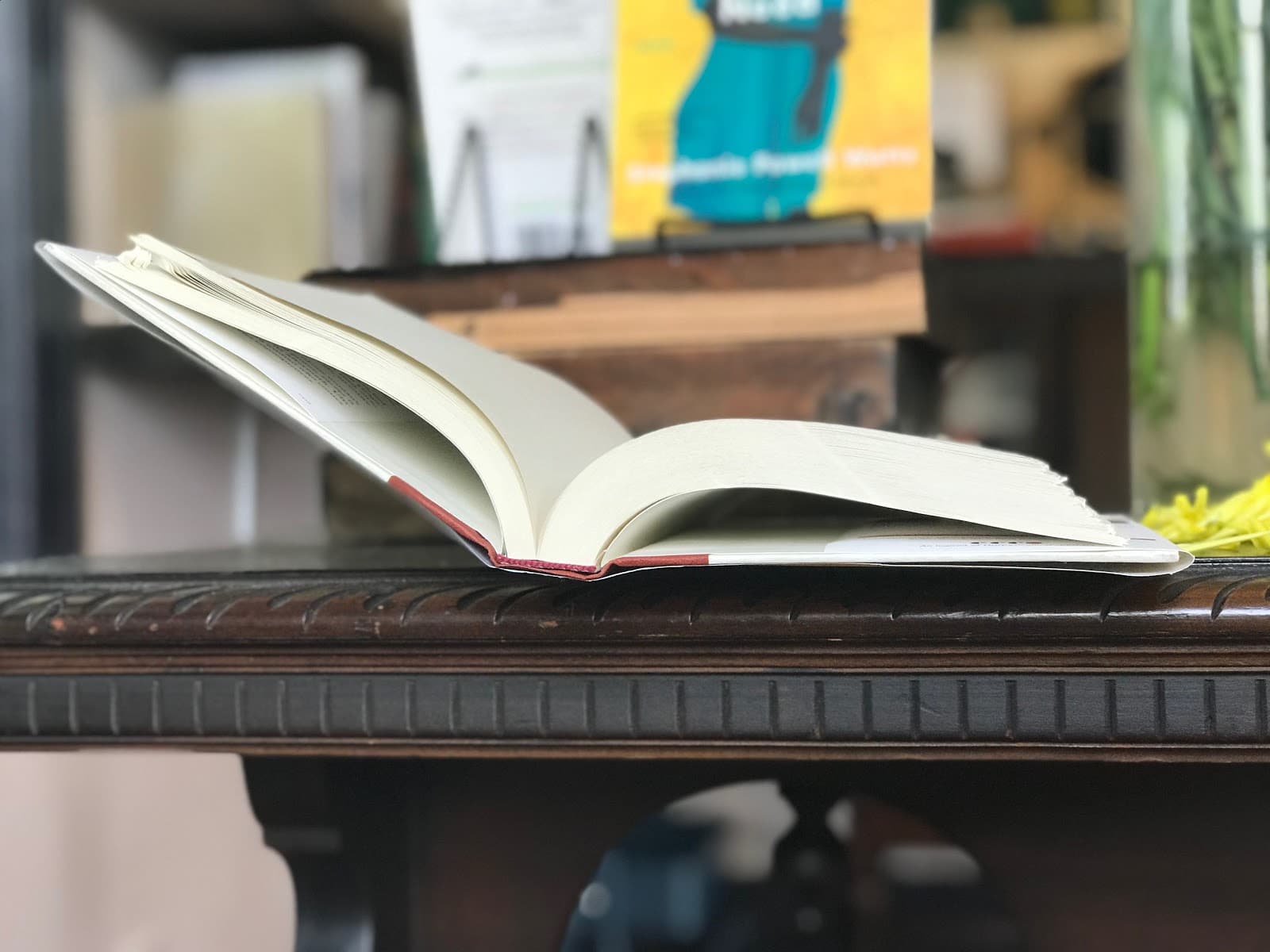 Itinerant Literate Bookstop — photo 2