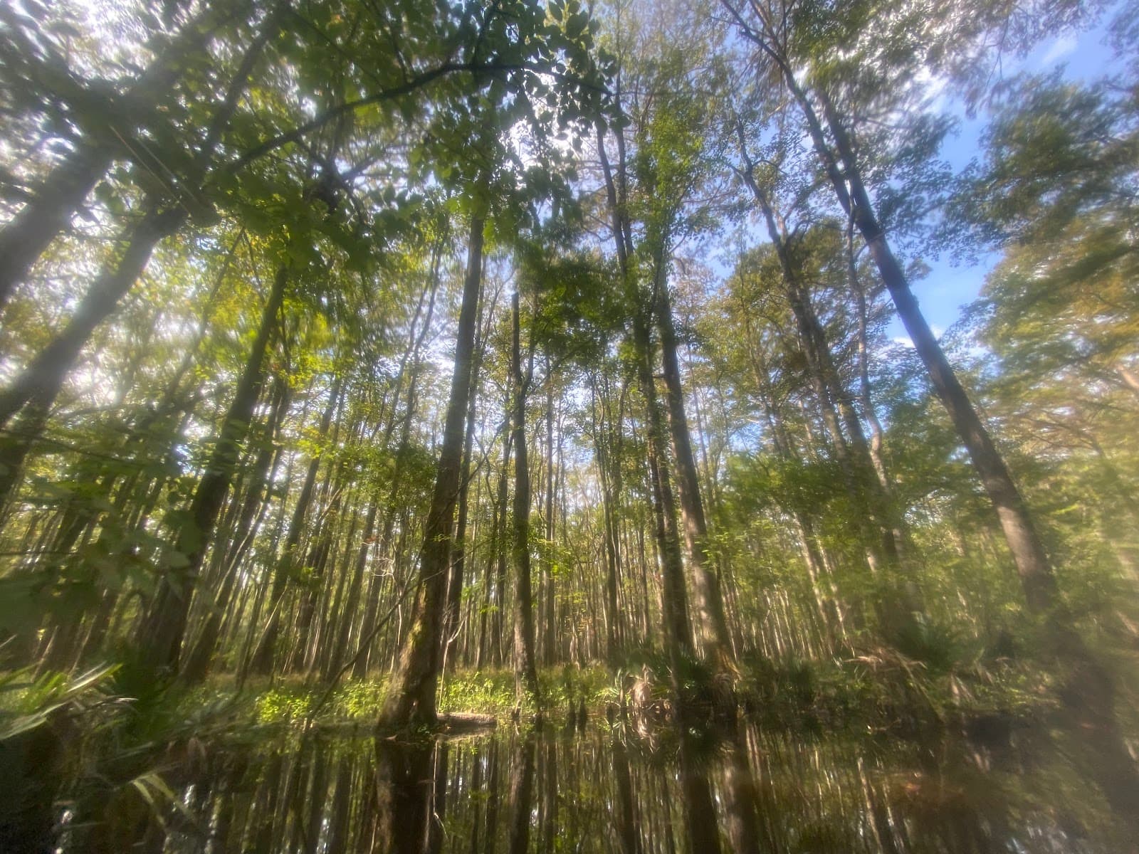 Nature Adventures Outfitters — photo 1