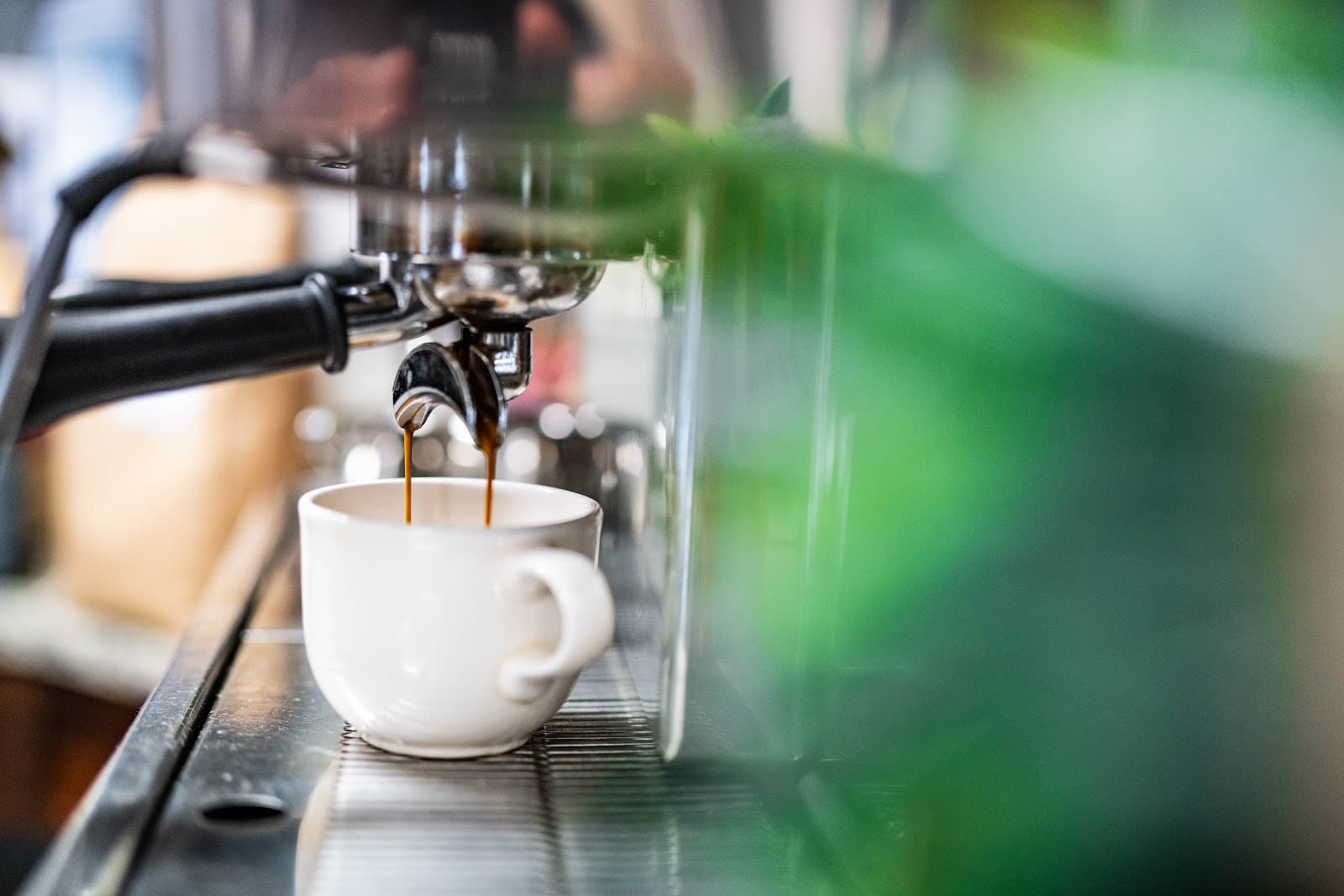 Brown Fox Coffee — photo 1