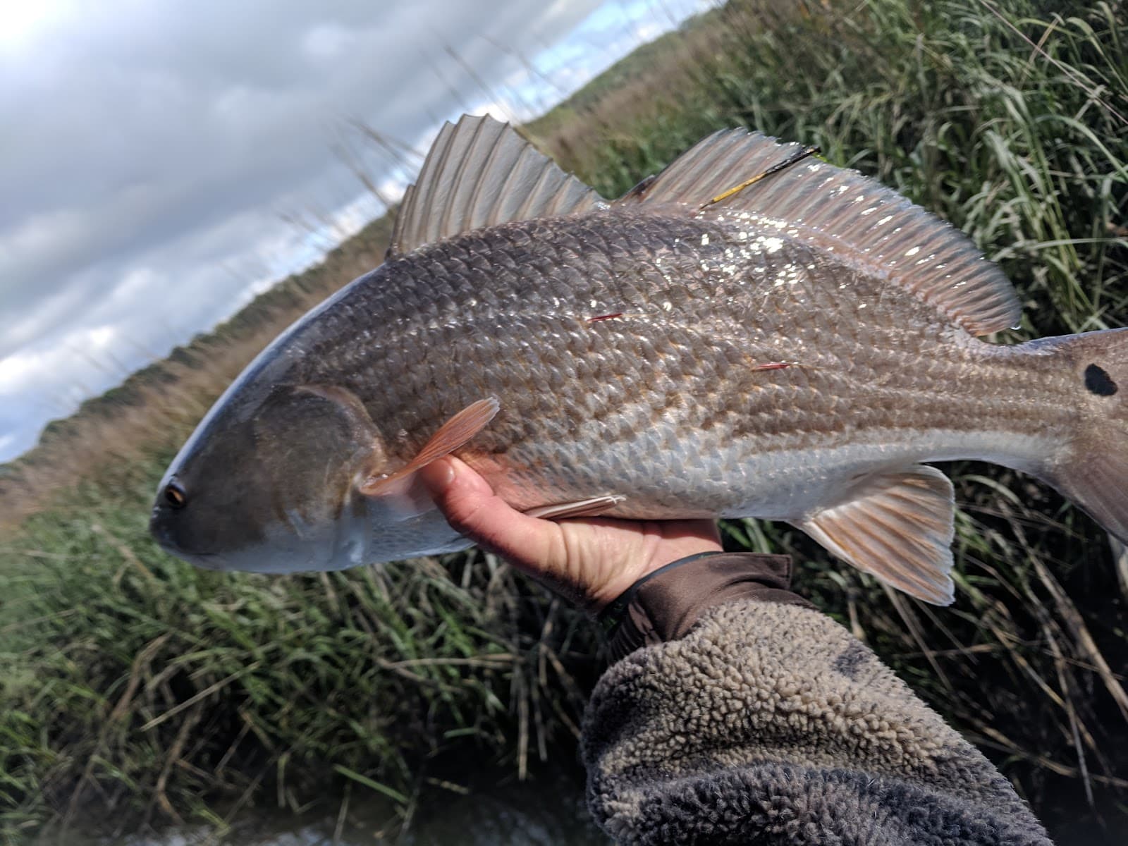 Affinity Charleston Fishing Charters