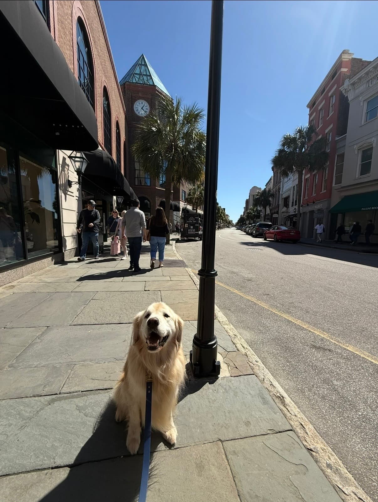 Amanda Noble, Realtor - Compass Carolinas — photo 2
