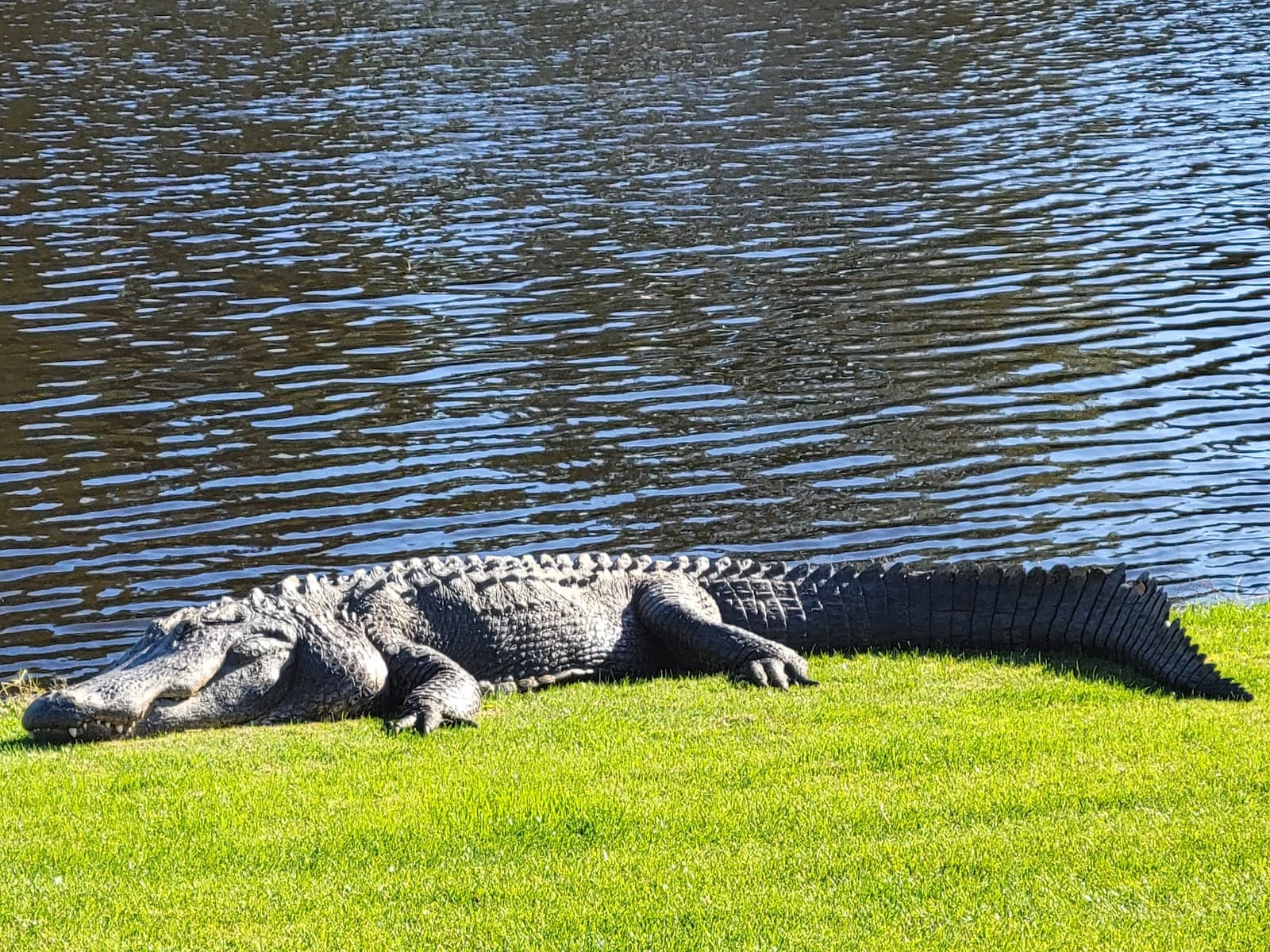 Osprey Point Golf Course — photo 2