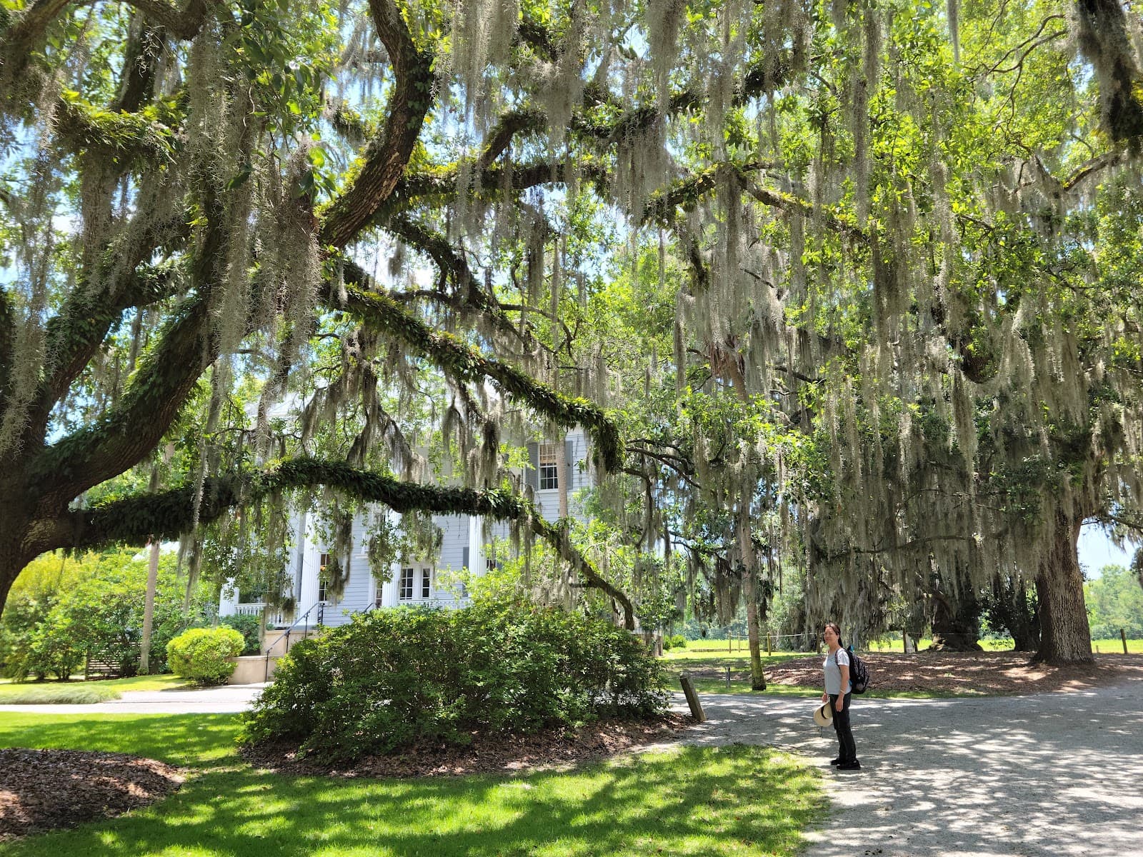 McLeod Plantation Historic Site