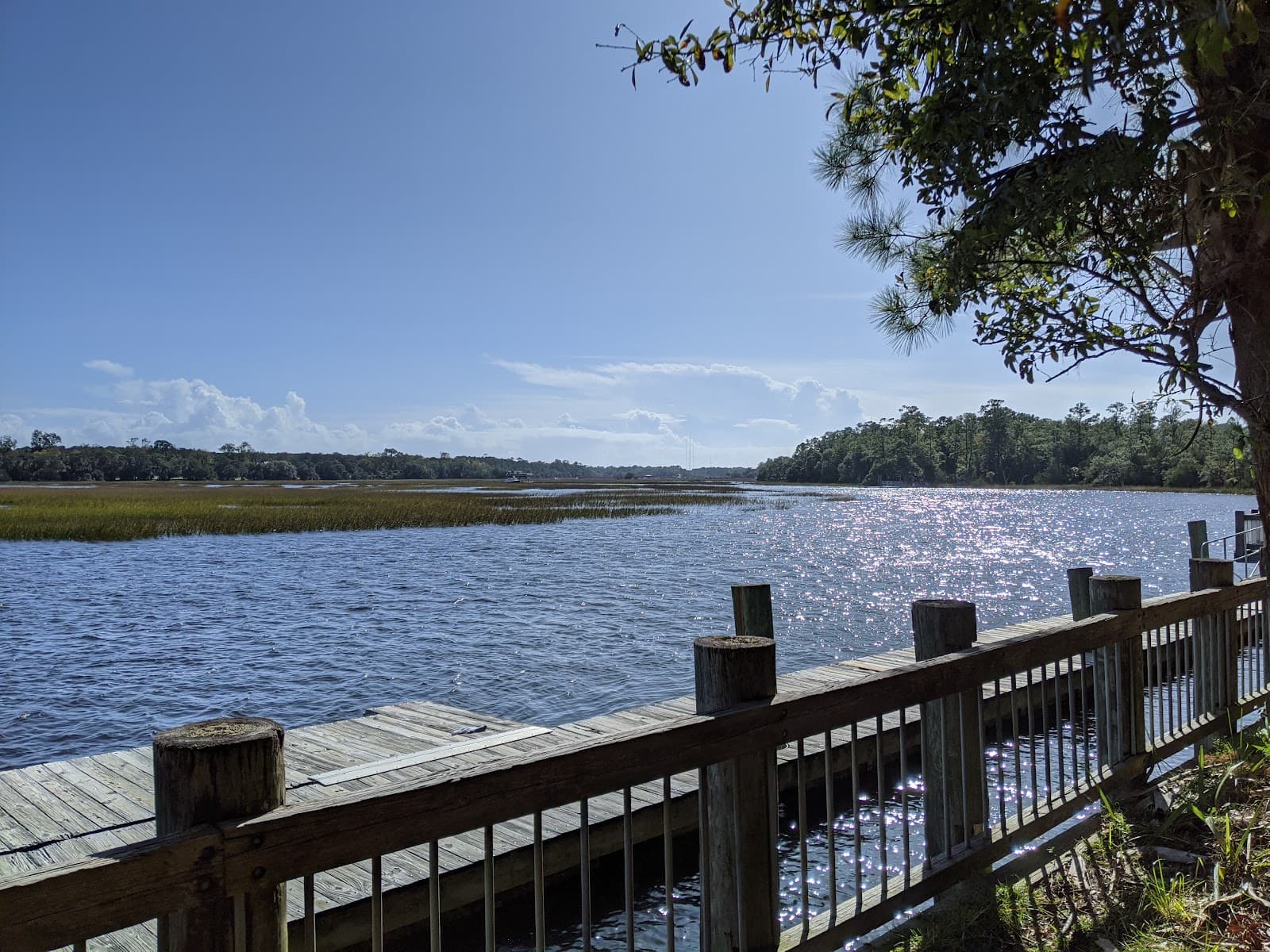 Palmetto Islands County Park — photo 2