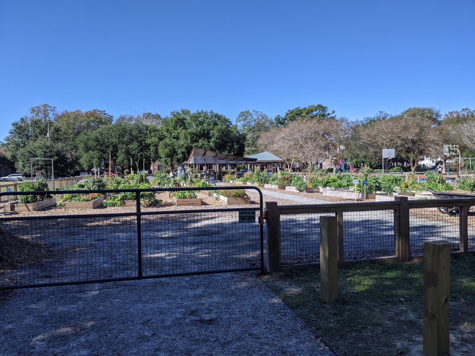 Corrine Jones Park — photo 1