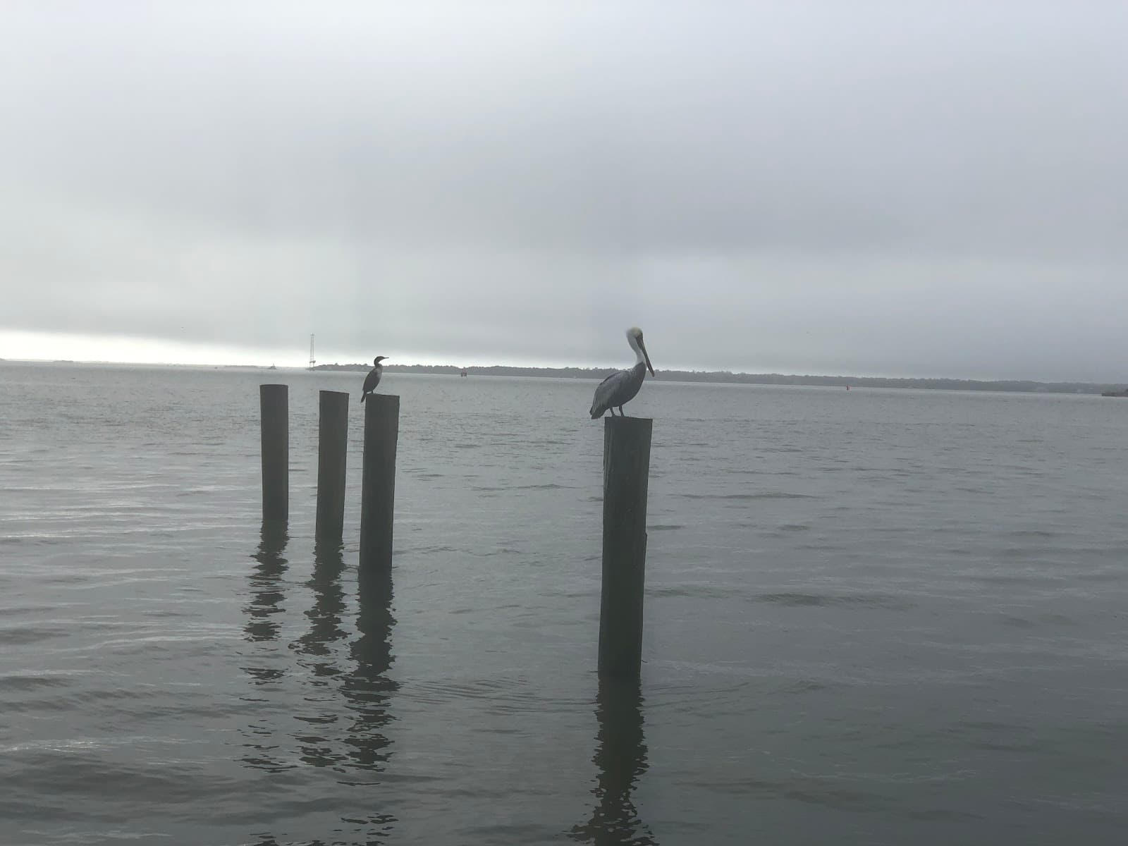 Freedom Boat Club - Mt. Pleasant, SC