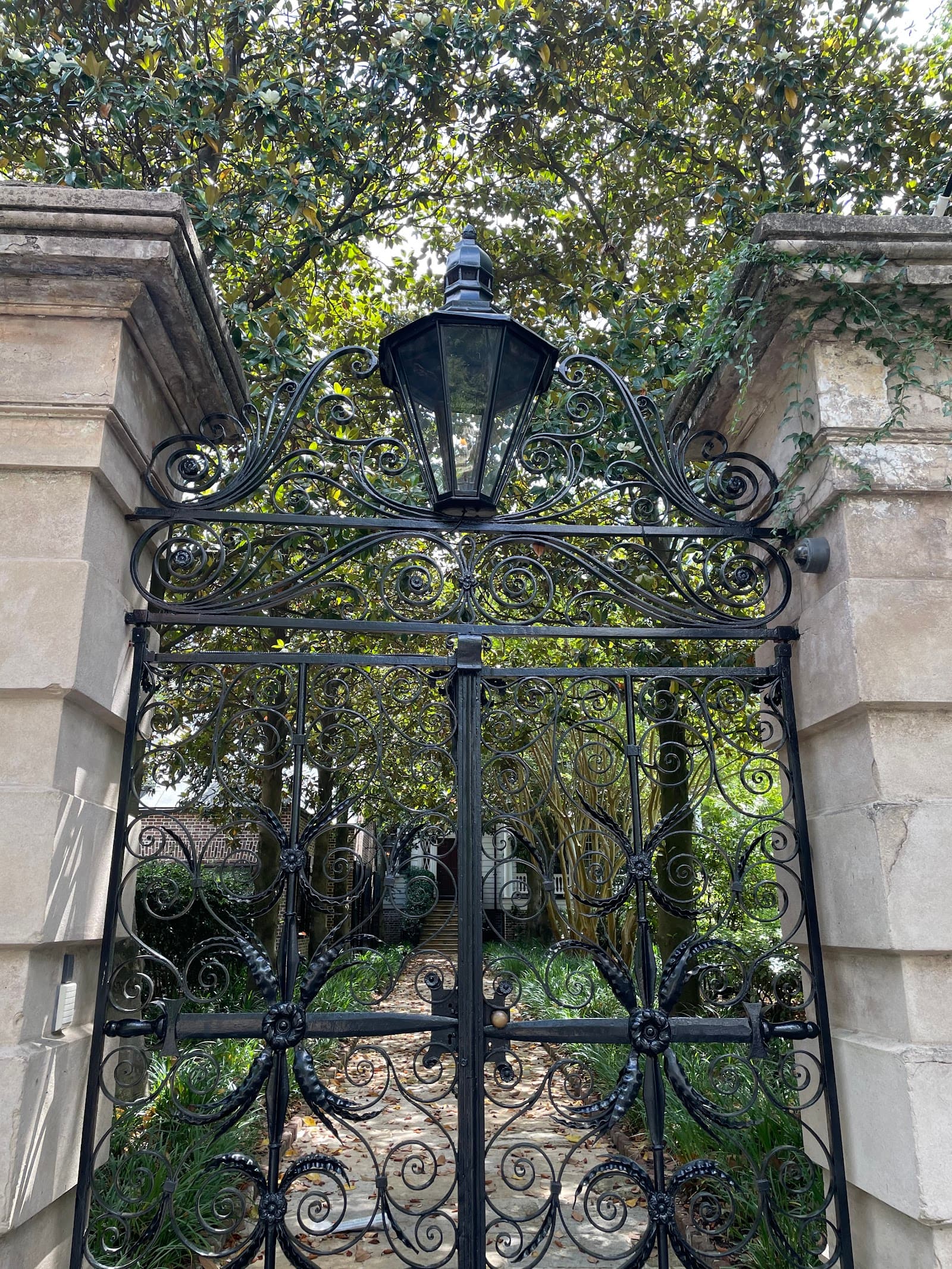 Charleston Walking Tours by Charleston Footprints — photo 2