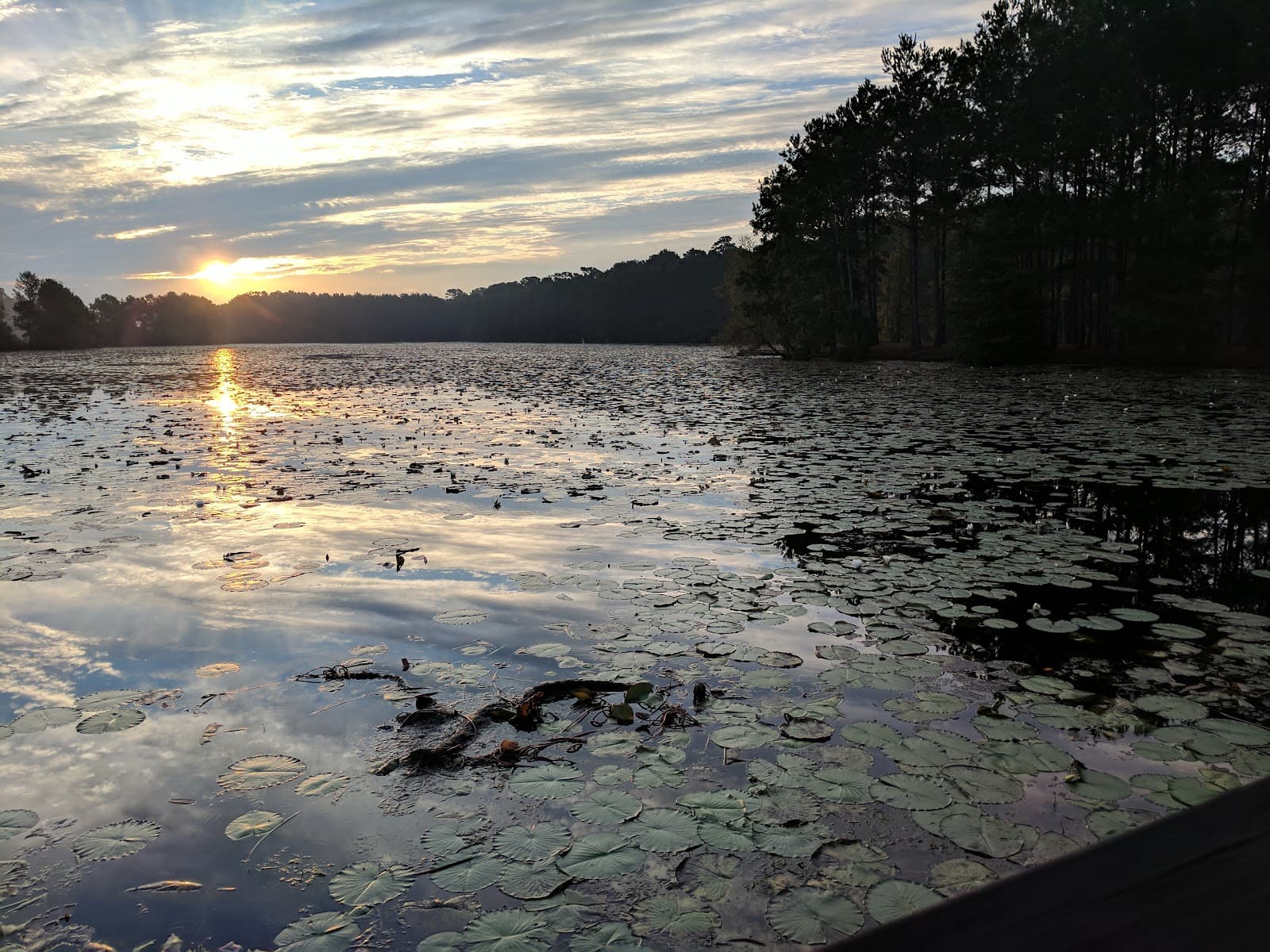 The Lake House At Bulow — photo 1