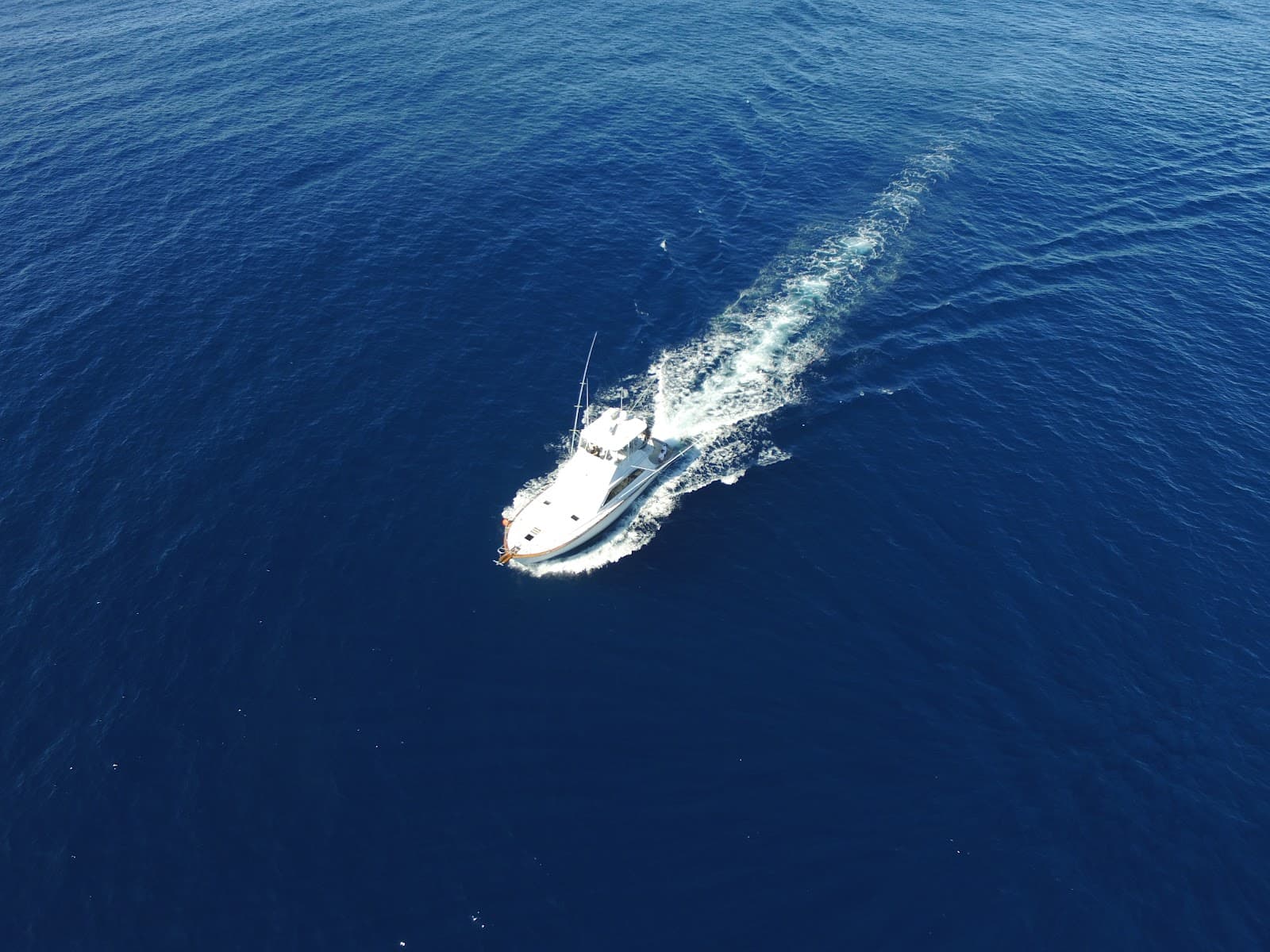 Wahoo Fishing Charters