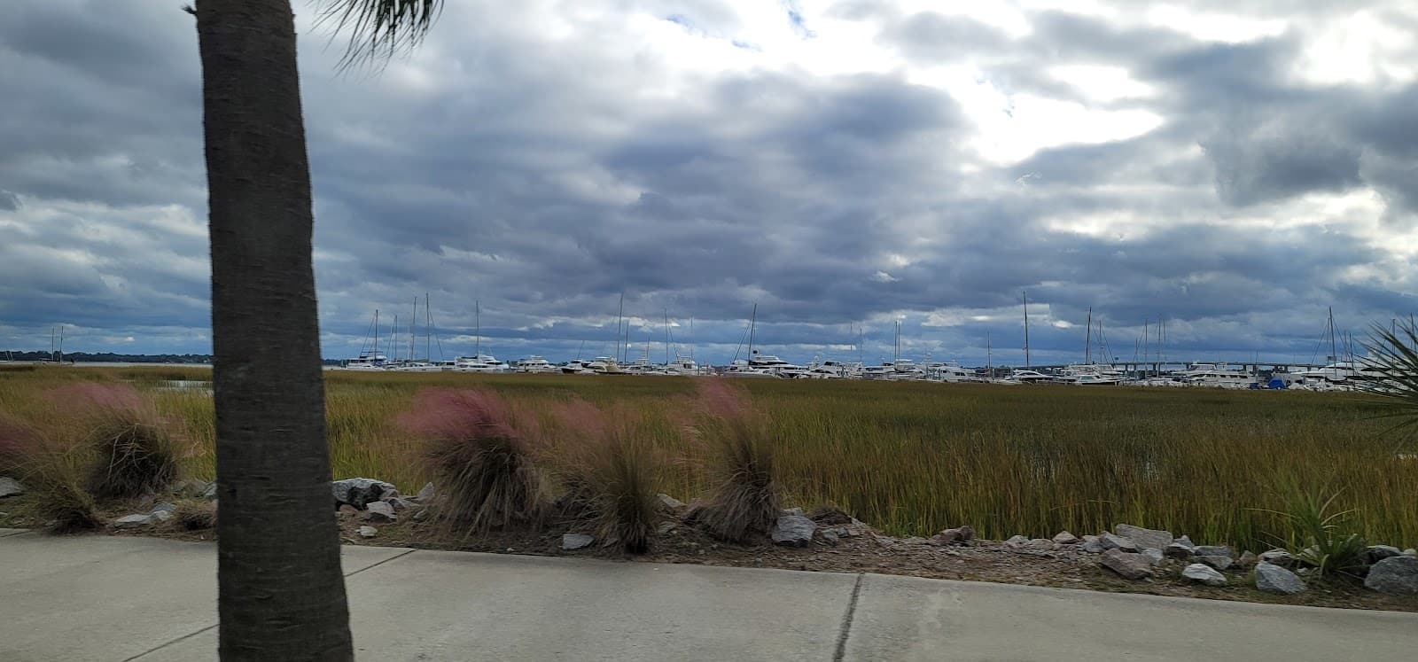Charleston Yacht Club — photo 2