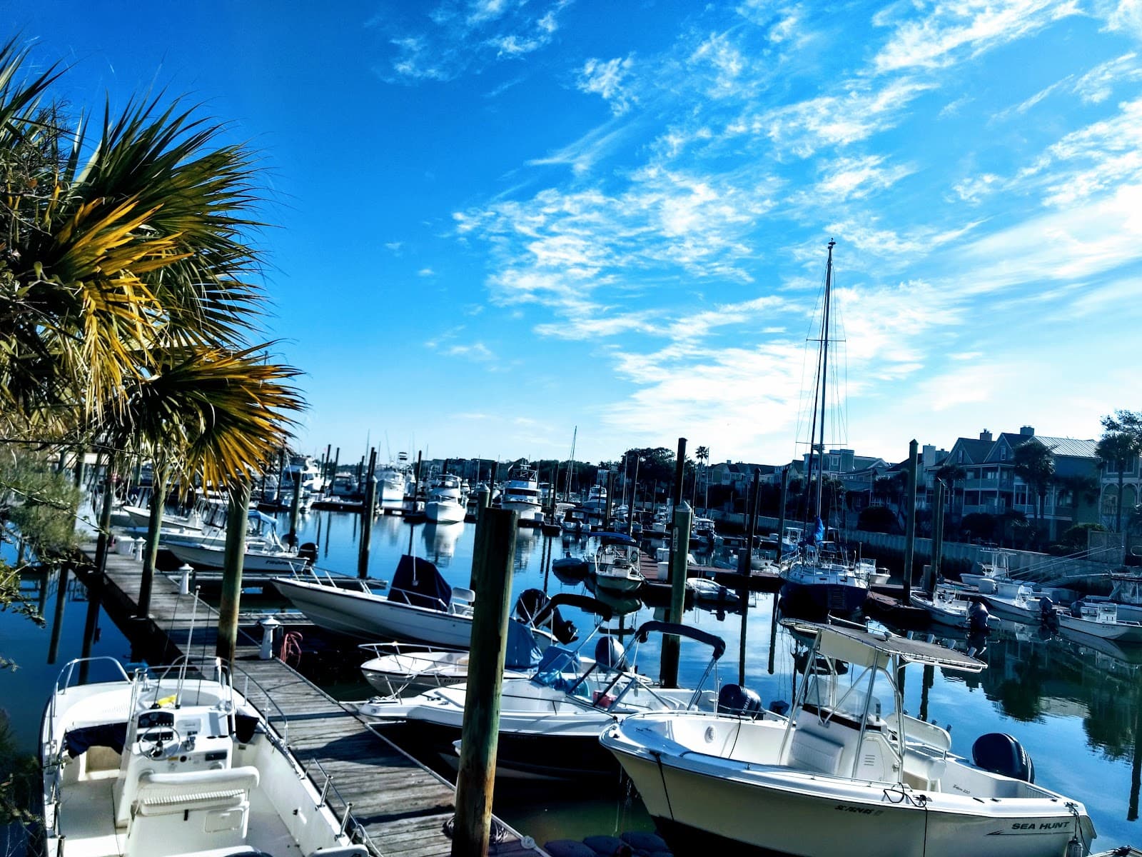 Isle of Palms Marina