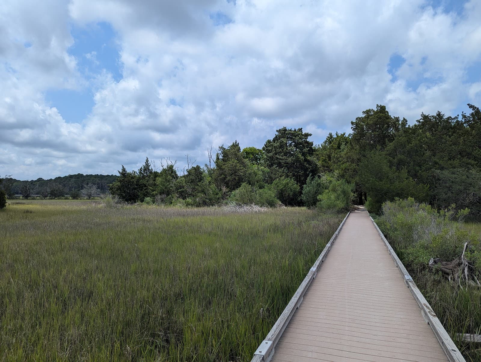 Stono River County Park — photo 1