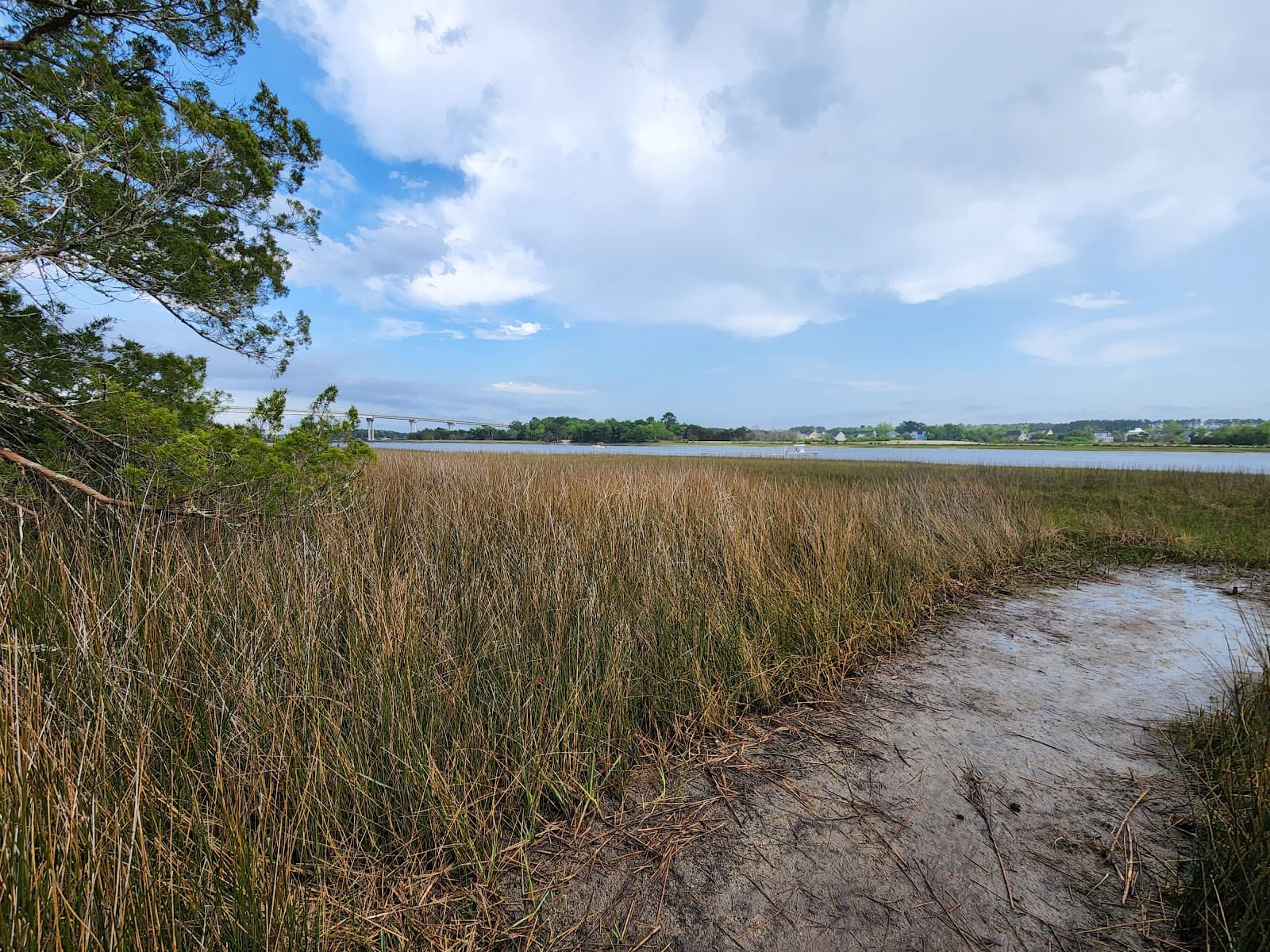 Stono River County Park — photo 2
