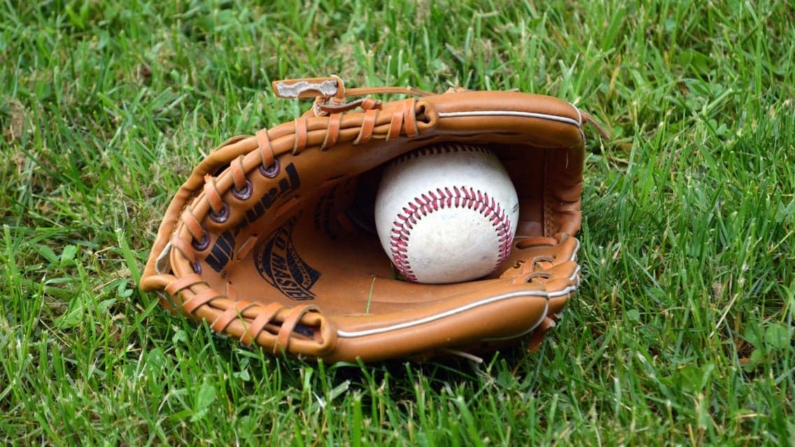 Charleston Riverdogs vs. Hill City Howlers